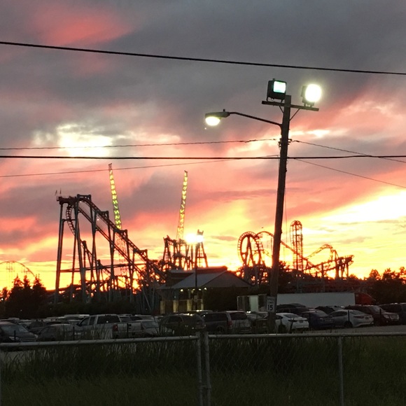 Meet your Posher, Sue - Picture 1 of 1